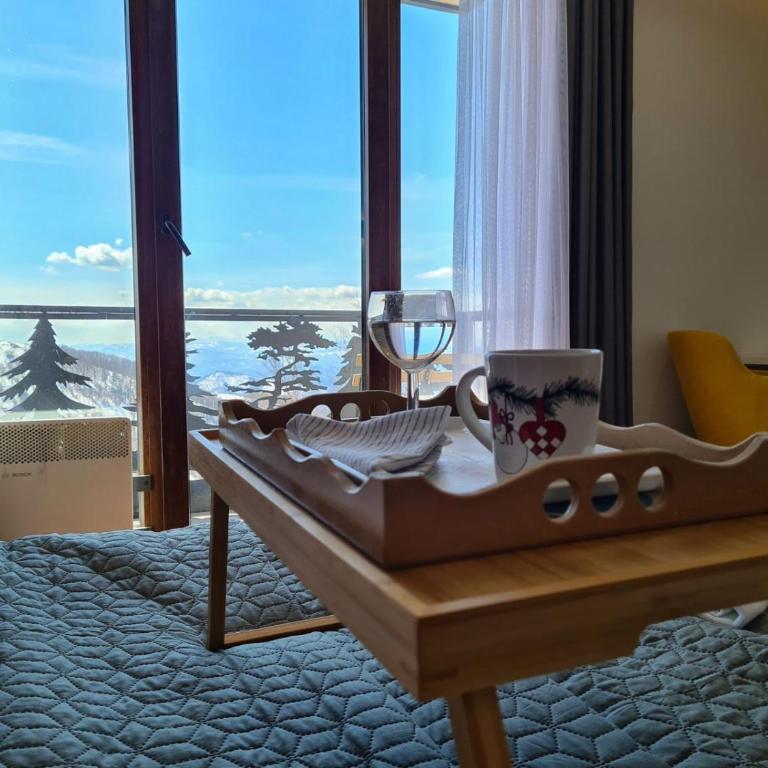 Apartmani TIM & SPA CENTAR - Studio with Mountain View - 20
