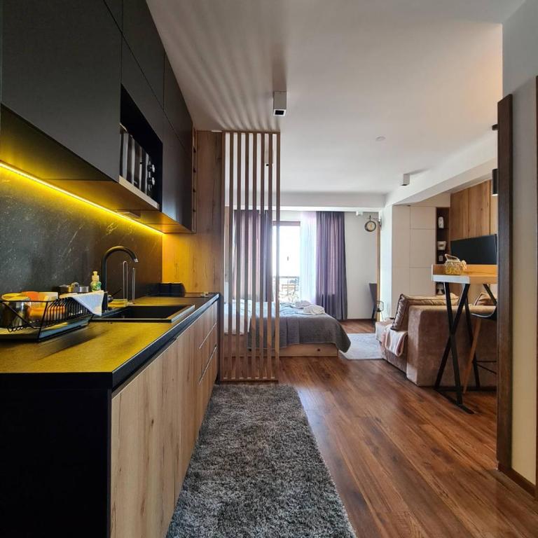 Apartmani TIM & SPA CENTAR - Studio with Mountain View - 13