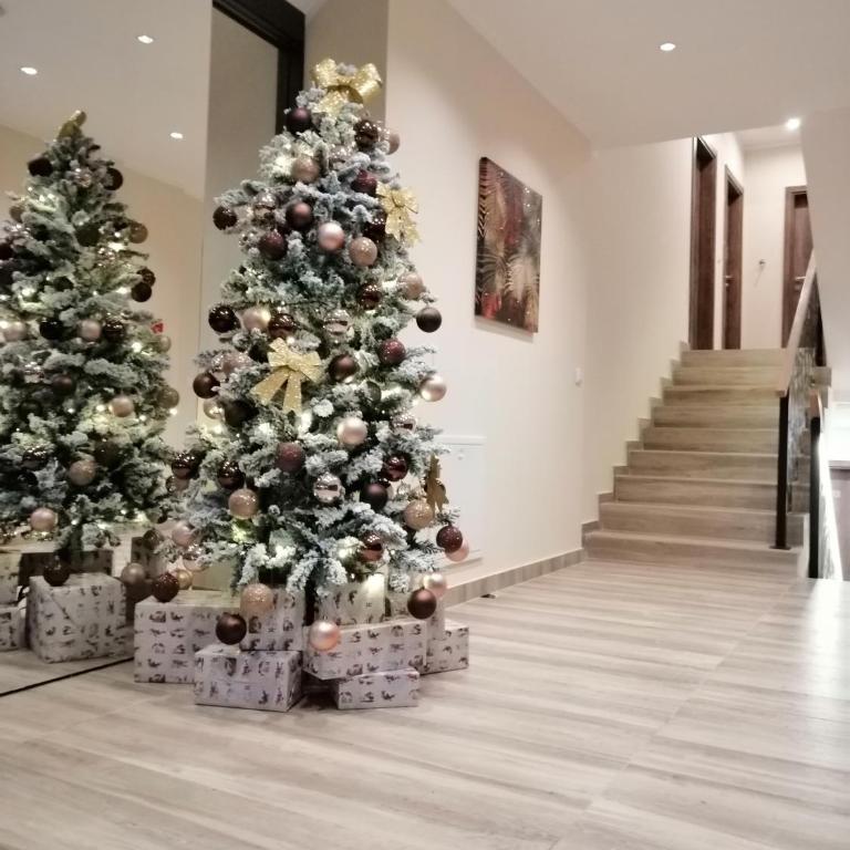 Apartmani TIM & SPA CENTAR - Studio with Terrace - 27