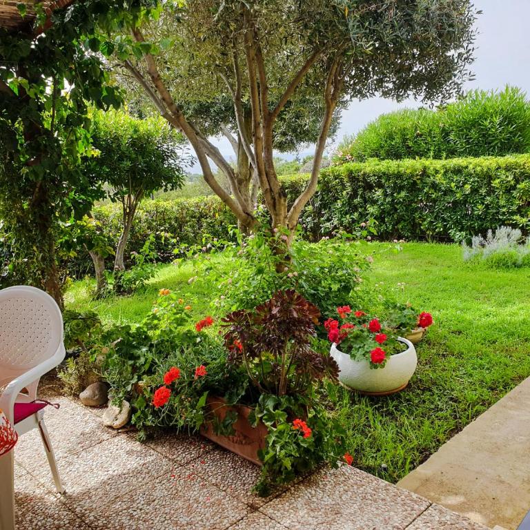 Villetta Elisa, Costa Rei holidays with sea view - Two-Bedroom House - 17