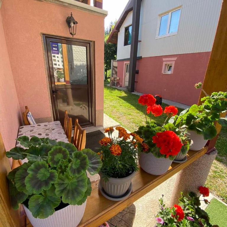 Apartman KALJEVIĆ - Apartman sa 2 Spavaće Sobe - 6