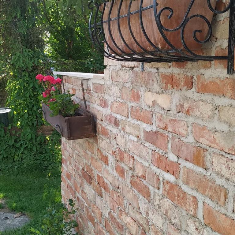 Speckhaus Ferienwohnungen - Apartment mit Terrasse - 1