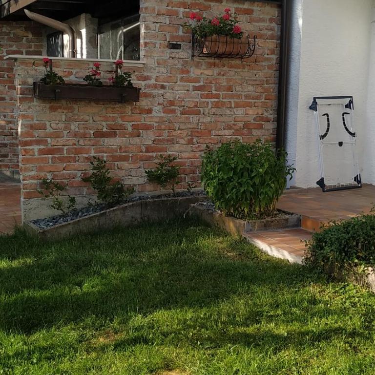Speckhaus Ferienwohnungen - Apartment mit Terrasse - 2