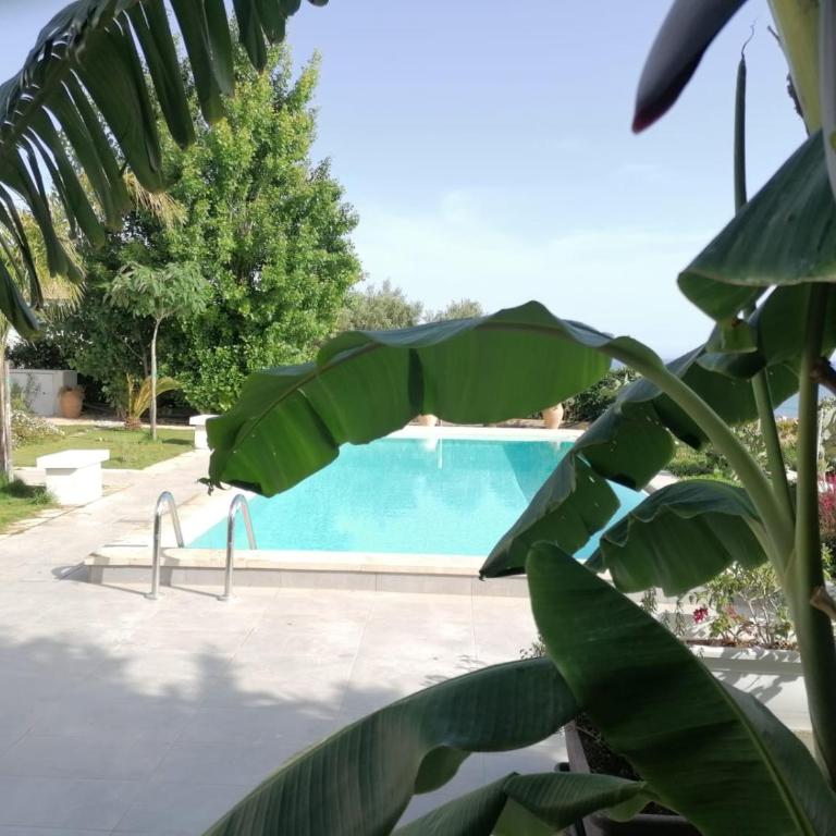 Villa Eleonora - Vacation Home - 55