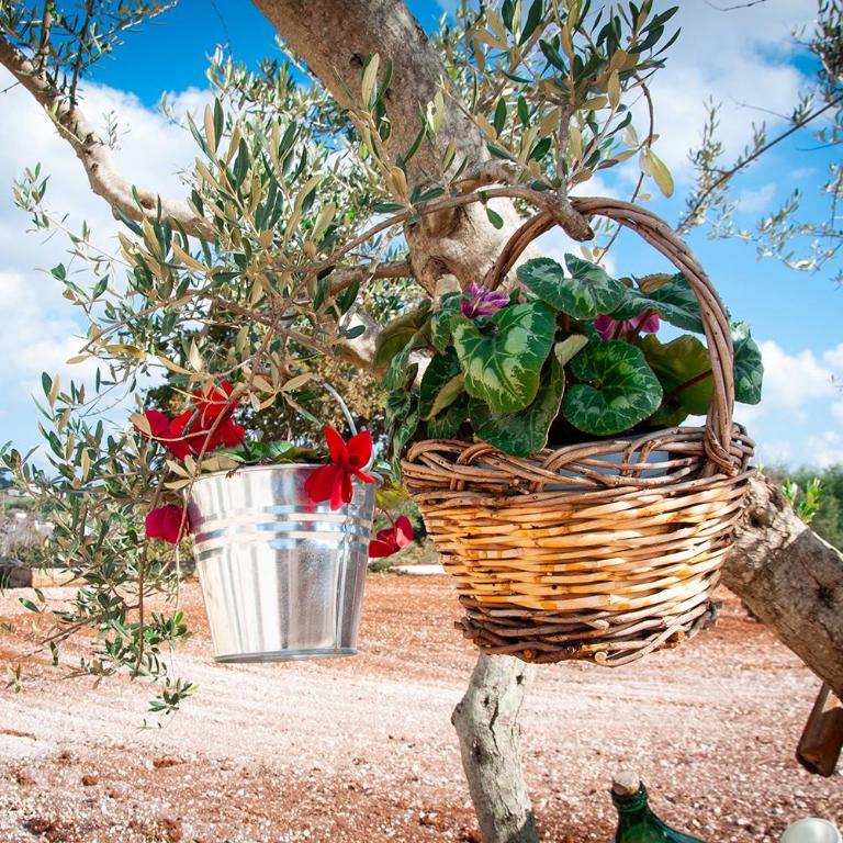 LiberaMente - Trulli & Quiete - Camera Matrimoniale con Vista Parco - 9