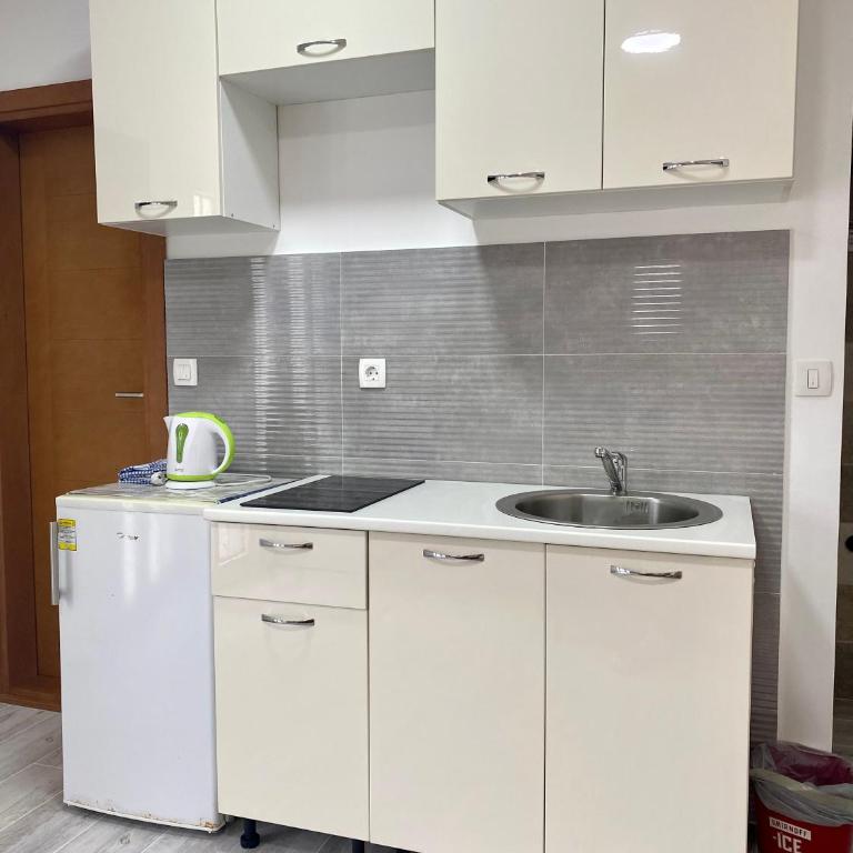 Apartments Popović - Standard Studio - 7