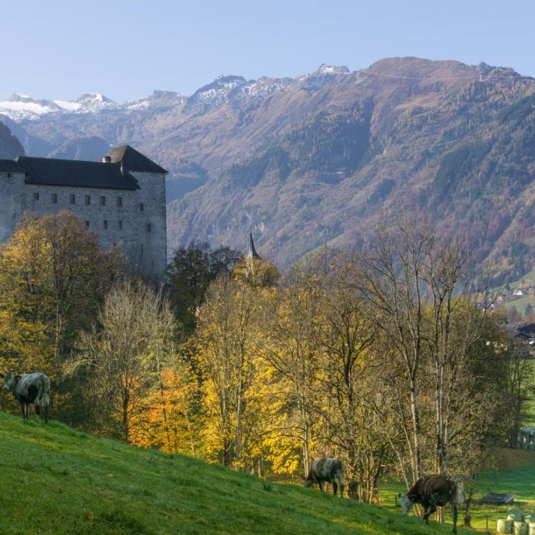 Kaprun Biggest Chalet Helen - 5 Bedrooms, 7 Bathrooms, Air Condition - Haus mit 5 Schlafzimmern - 63