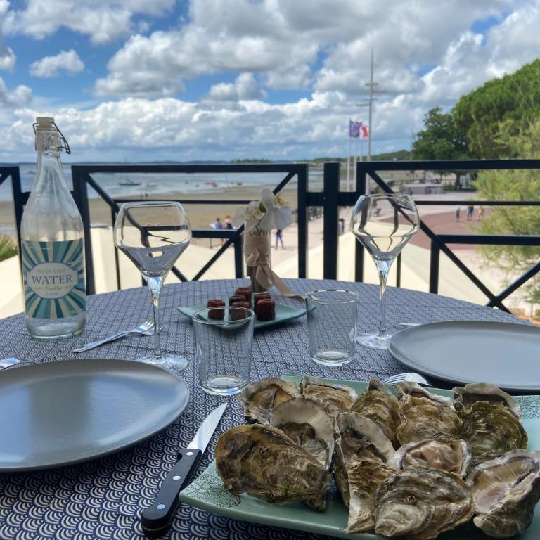 T2 Vue exceptionnelle sur le bassin d'Arcachon - Appartement 1 Chambre - 1