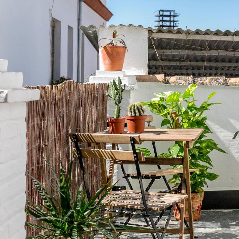 Casa Po - Double Room with Terrace - 14