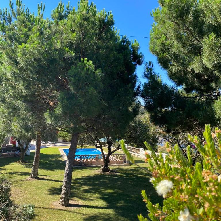 LA HIGUERA - Villa con piscina privada - 19