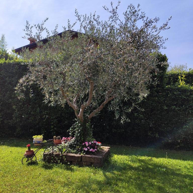 Appartamento centro Lazise con piscina e giardino privato - Appartamento con 2 Camere da Letto - 27