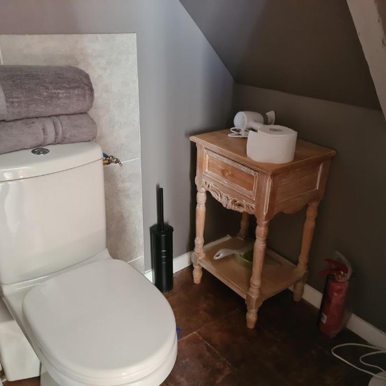 découvrez une ancienne maison de drapier du XVII siecle au coeur de bastide - Studio-Apartment - 6