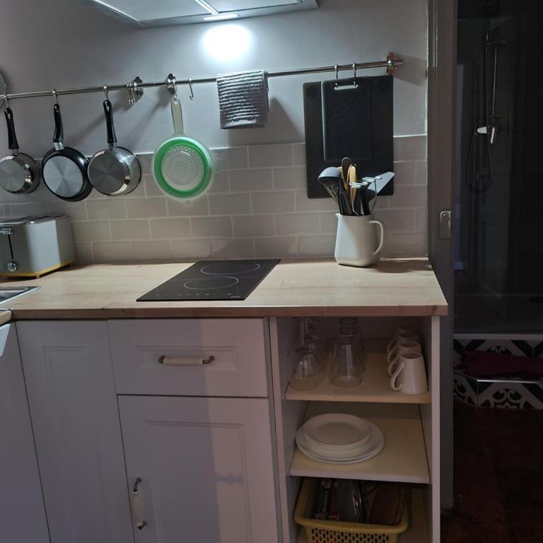 découvrez une ancienne maison de drapier du XVII siecle au coeur de bastide - Apartment mit 1 Schlafzimmer - 6