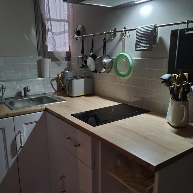 découvrez une ancienne maison de drapier du XVII siecle au coeur de bastide - Apartment mit 1 Schlafzimmer - 7