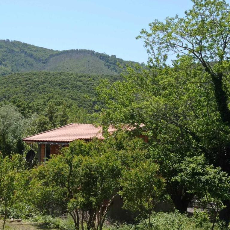 Smještaj Elena - Kuća sa 2 Spavaće Sobe - 9