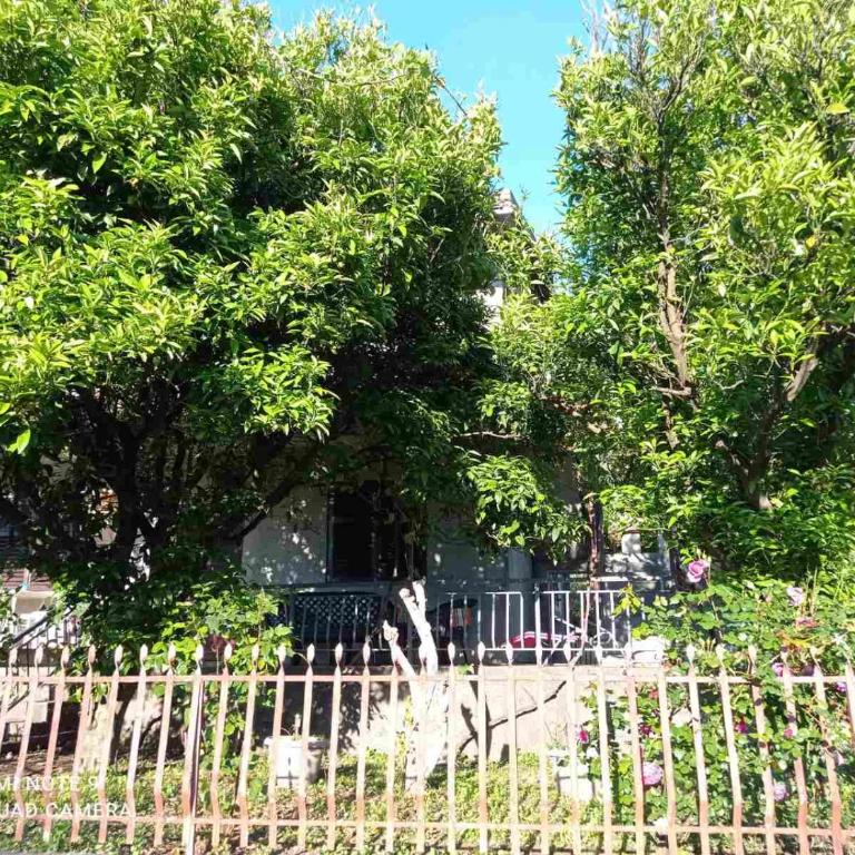 Smještaj Elena - Kuća sa 2 Spavaće Sobe - 1