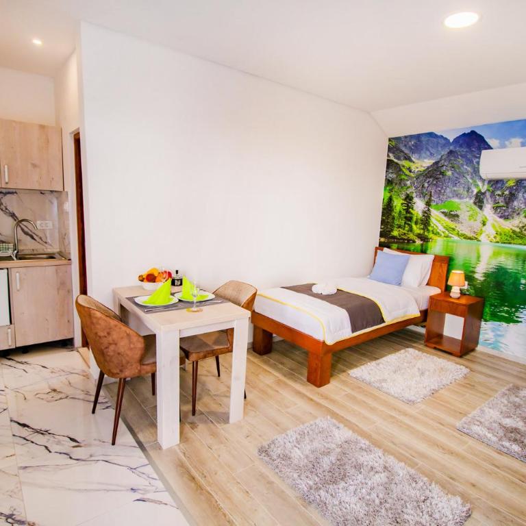 Simo apartments airport Podgorica - Deluxe Twin Room - 7