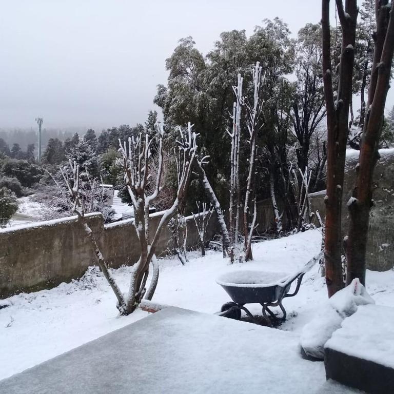 Apartamento Cerro Dorado Sur - Apartamento de 1 dormitorio - 6