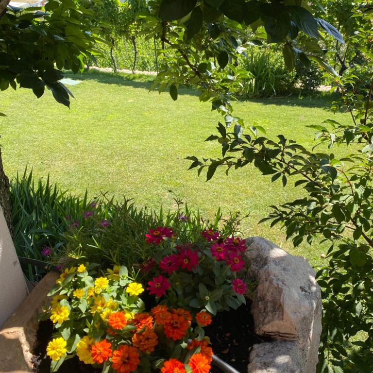 Weishof - Appartement 2 Chambres - 9