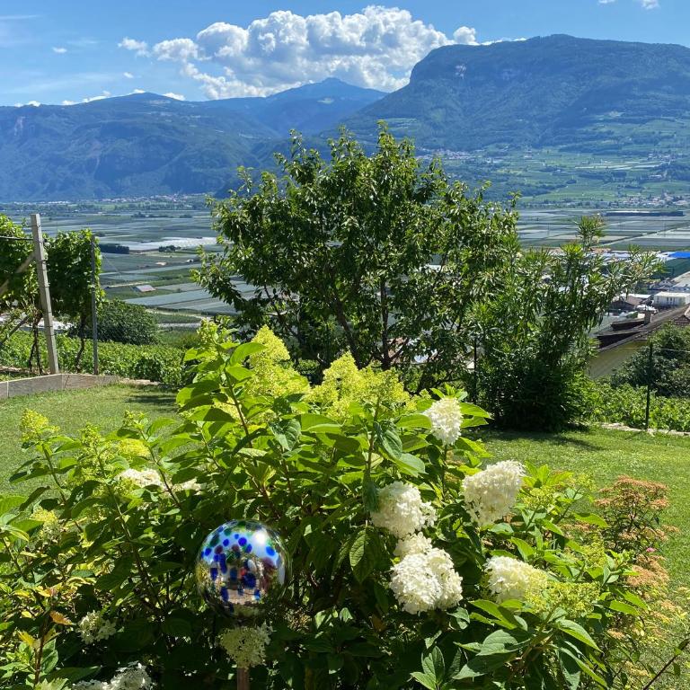 Weishof - Appartement 2 Chambres - 5