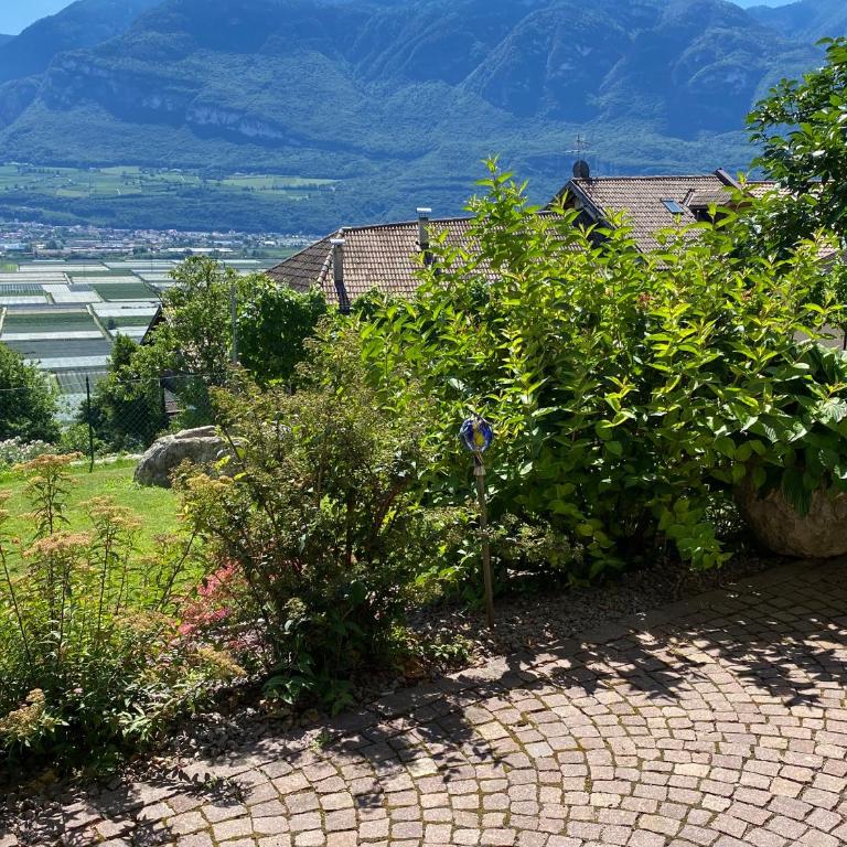 Weishof - Appartement 2 Chambres - 27