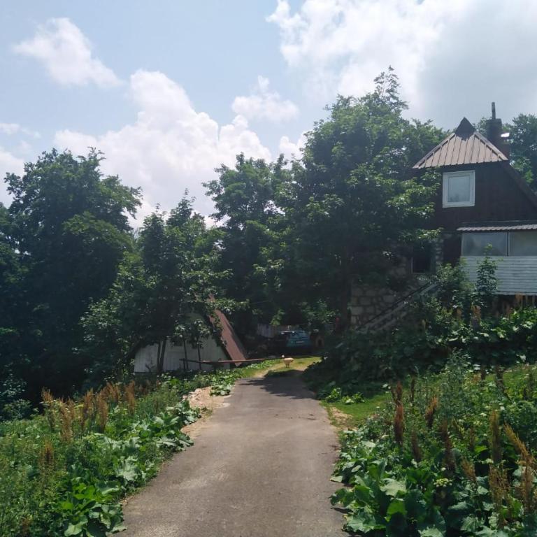 Apartment Dobre Vode - Apartment with Terrace - 2