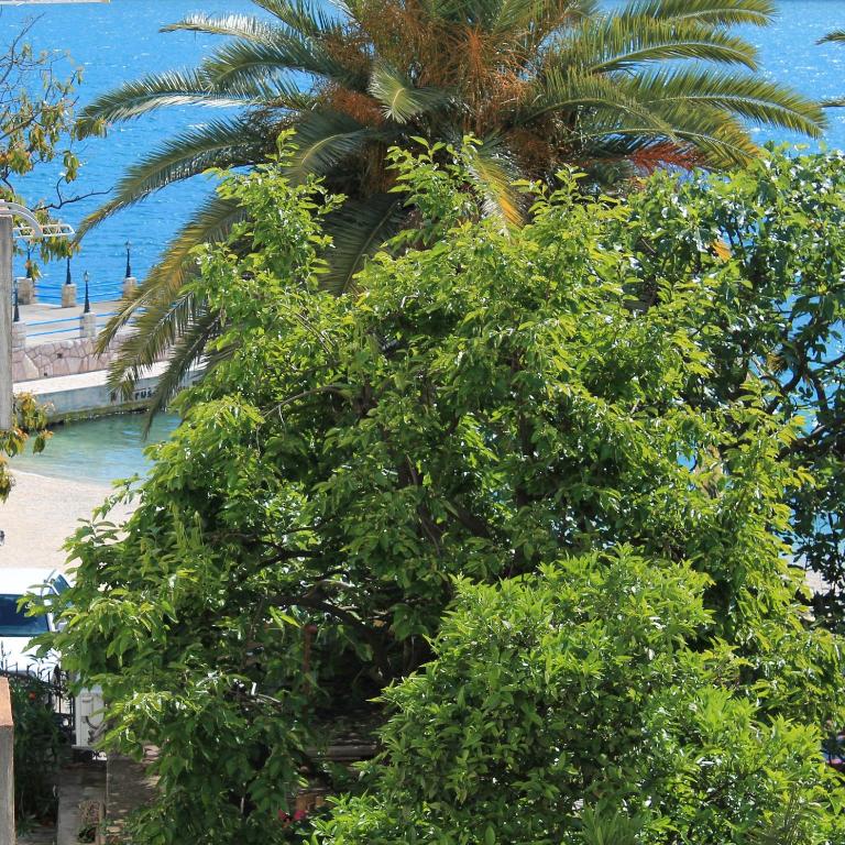 Solar Apartments - Studio with Balcony and Sea View - 5