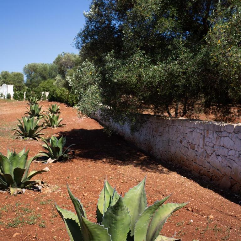 Lamia Petricore Ostuni - Casa con 3 Camere da Letto - 65