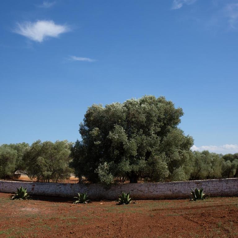 Lamia Petricore Ostuni - Casa con 3 Camere da Letto - 64