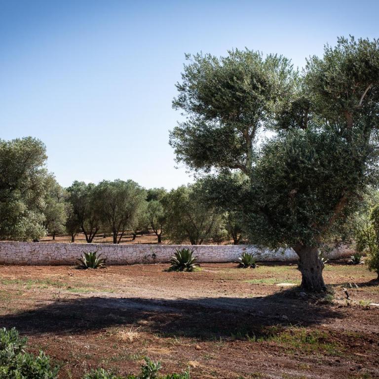 Lamia Petricore Ostuni - Casa con 3 Camere da Letto - 71