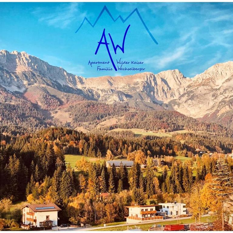 AW - Apartment Wilder Kaiser - Apartamento - 10