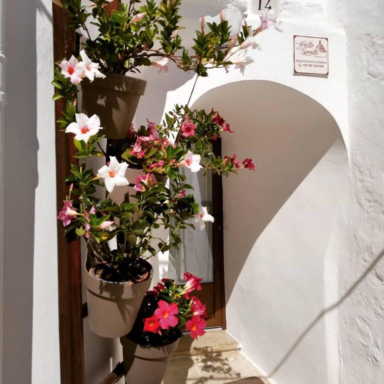 Trullo Delle Sorelle - Trullo - Su 2 Livelli - 25