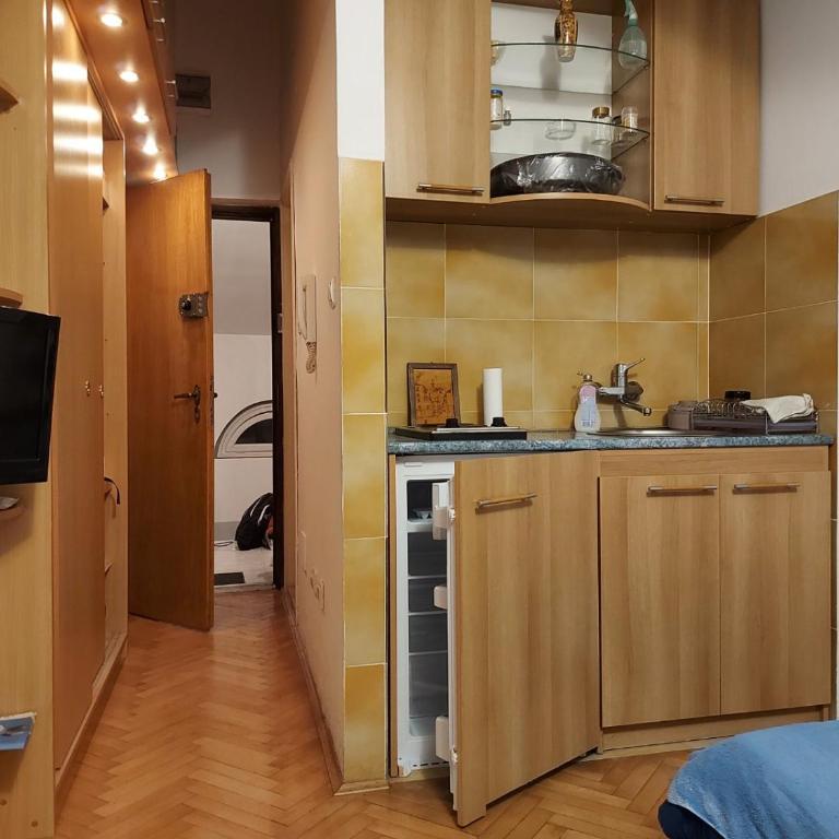 Apartman Vuk - Apartman sa 1 Spavaćom Sobom - 2