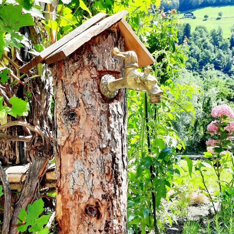 Chalet Passeier - ZOLL - Chalet Superior - 33