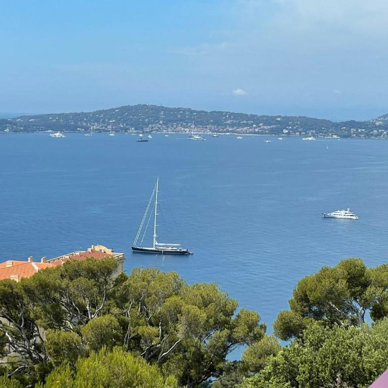 MyBlueVista LUXURY PANORAMIC SEA VIEW APARTMENTS CAP D AIL NEAR MONACO - Appartement 1 Chambre - 1