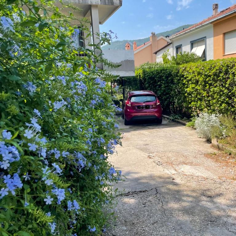 Apartment Garden - Studio Apartment - 11