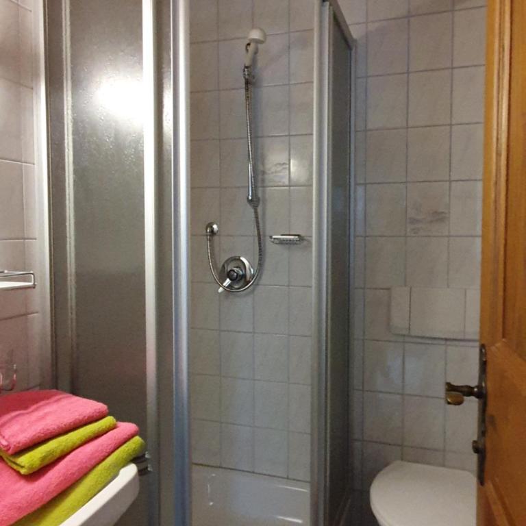 Bauernhof Neu-Endfelden, Günter Widauer - Apartment mit Dusche - 40