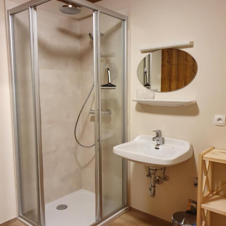 Bauernhof Neu-Endfelden, Günter Widauer - Apartment mit Dusche - 45