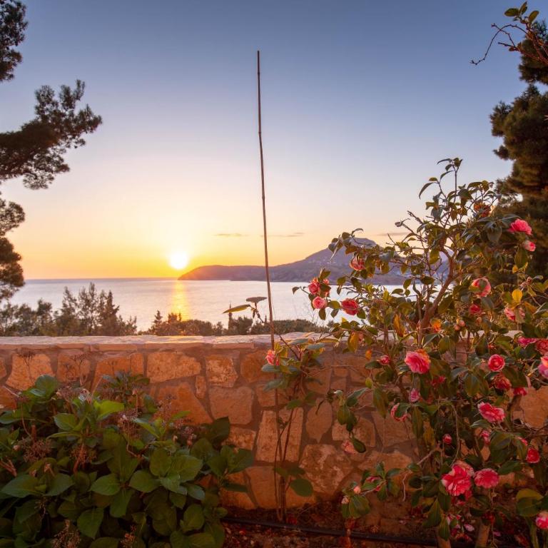 VILA TARA - Apartman sa 1 Spavaćom Sobom - 5
