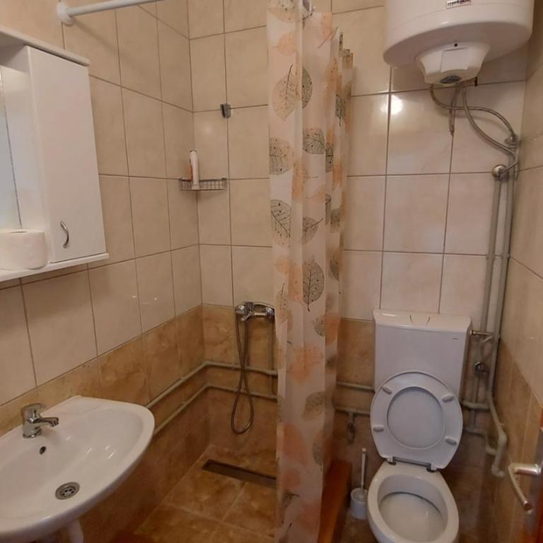 Apartmani Stari Gaj - Apartment - 3