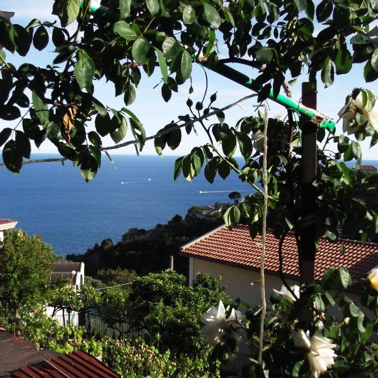 Le Mimose - Casa Vacanze - 2