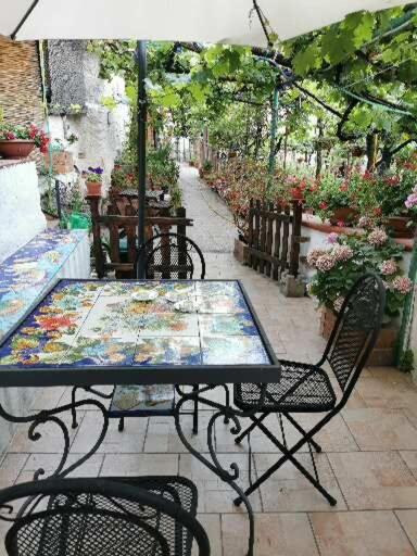 Le Mimose - Casa Vacanze - 3