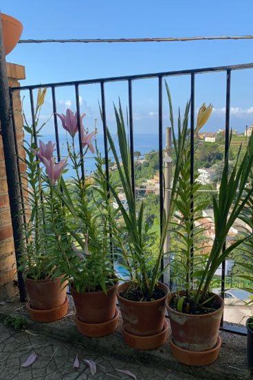 Le Mimose - Casa Vacanze - 47