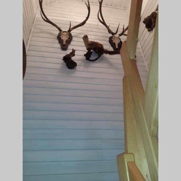 Haus Susi im Ennstal - Haus mit 5 Schlafzimmern - 9