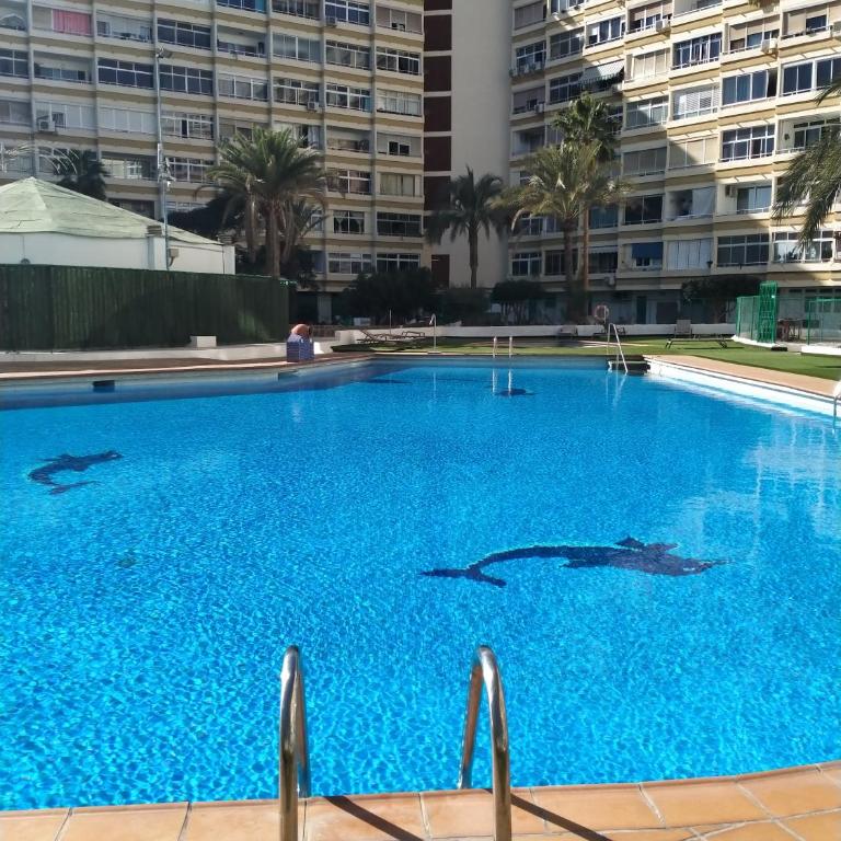 Fun & Relax Apartment - Apartamento de 1 dormitorio - 4