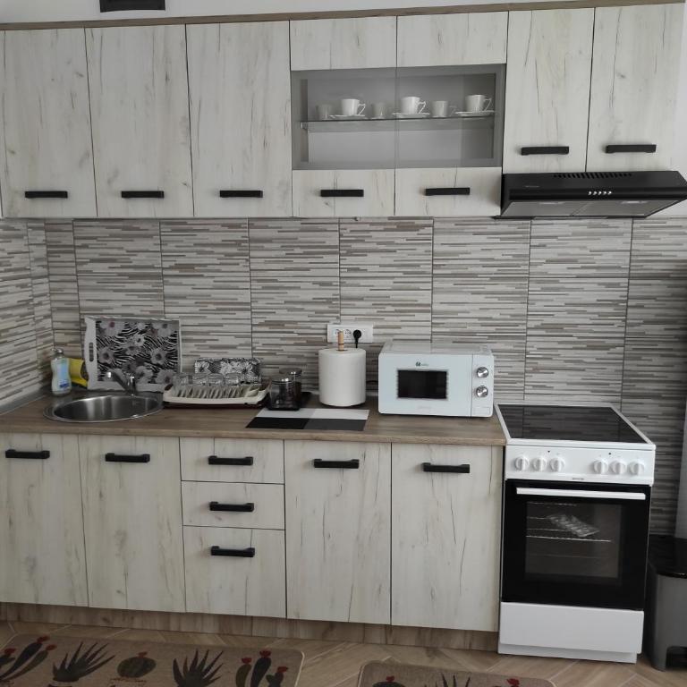 Andrea Airport Apartments - Apartman sa 2 Spavaće Sobe - 26