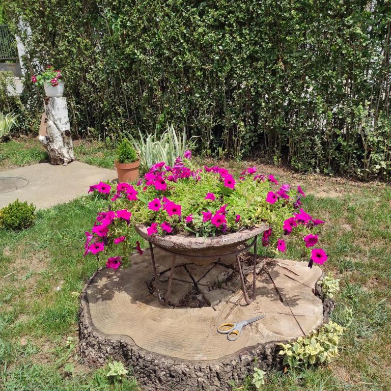 Andrea Airport Apartments - Apartman sa 2 Spavaće Sobe - 9