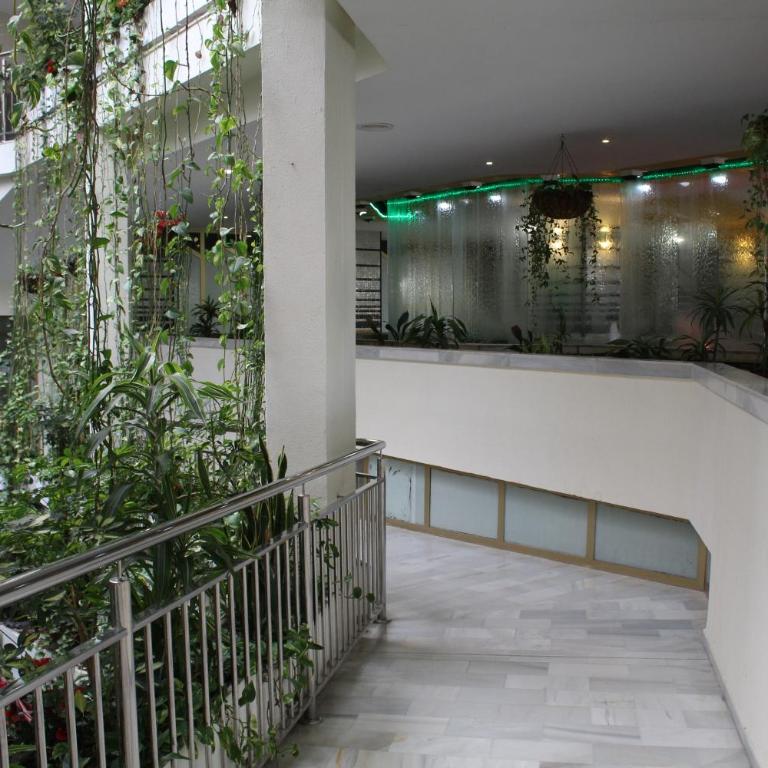 BenalBeach Complex - Studio - 6