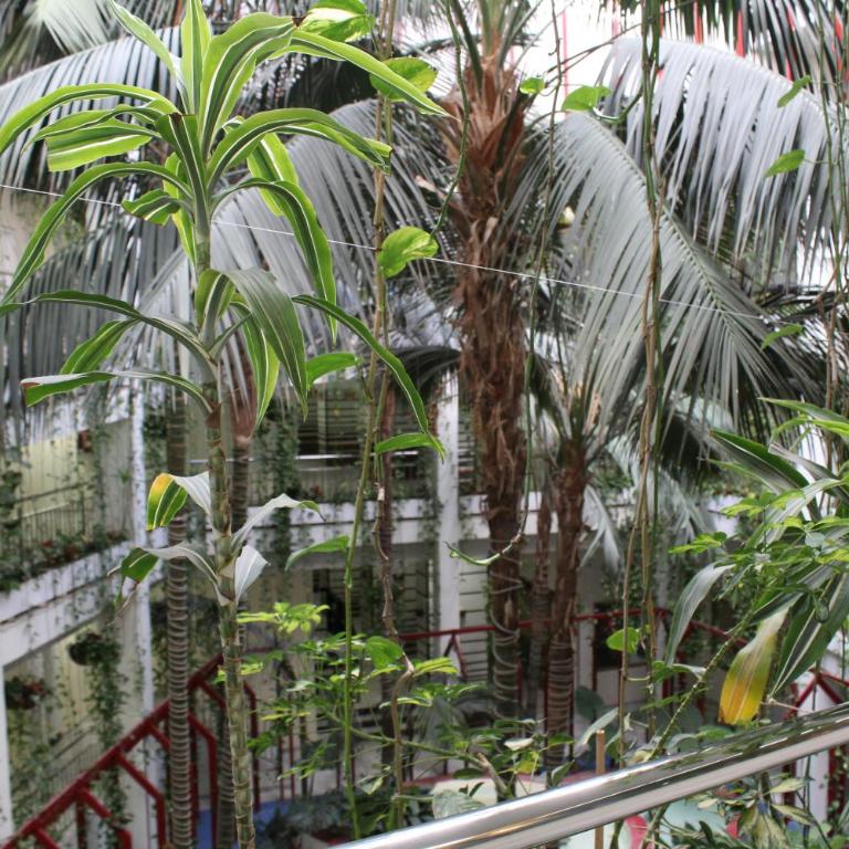 BenalBeach Complex - Studio - 42