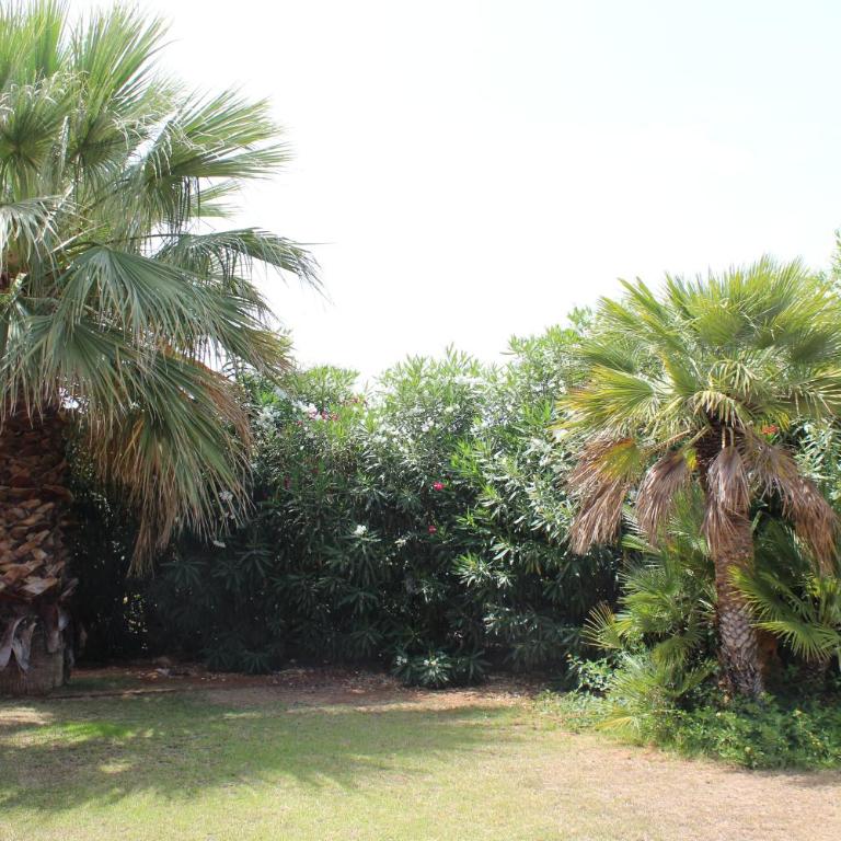Casa Vacanze Libeccio - Villetta con giardino e piscina condominiale - Casa Vacanze - 22
